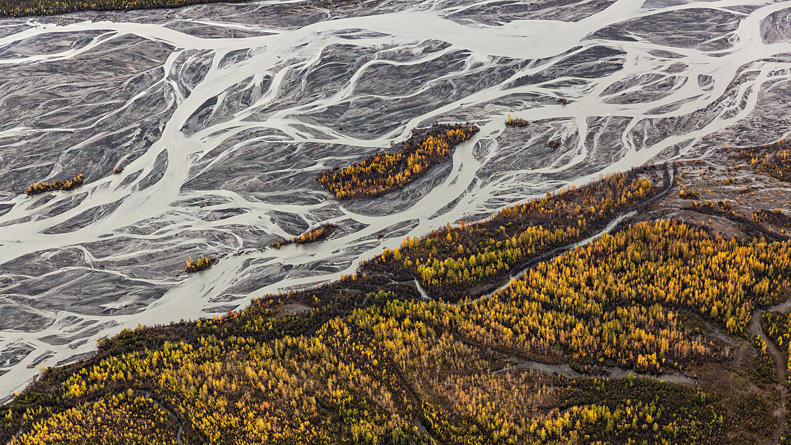 <p>The glacier-fed McKinley River flows across gravel floodplains in the park before feeding into the Kantishna River.</p>