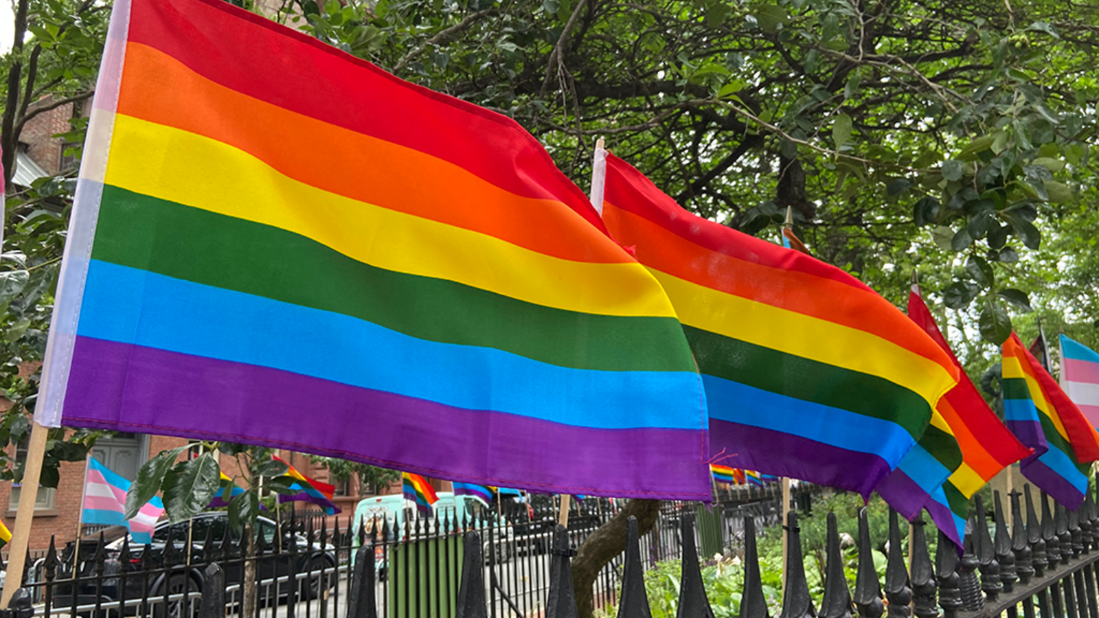 <p>Flags fly at Stonewall National Monument in New York. The park's webpages were recently scrubbed of any mention of the trans community, including webpages about activists Marsha P. Johnson and Sylvia Rivera, key players in the Stonewall Uprising who later founded one of the first LGBTQ youth shelters in America.  </p>